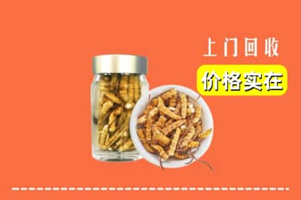 盐边县回收散虫草