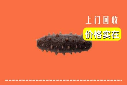 盐边县回收海参