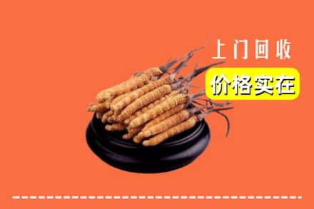 盐边县回收冬虫夏草